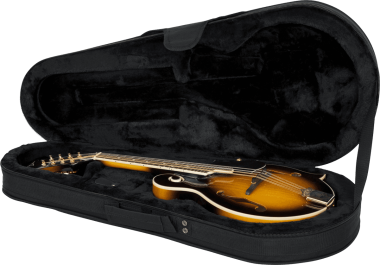 Mandolin lightweight legacy hybrid case