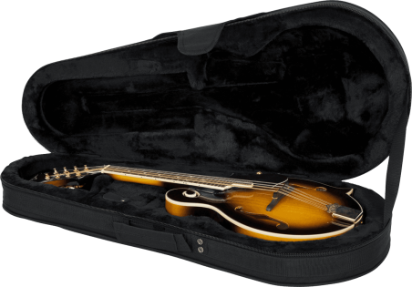 Mandolin lightweight legacy hybrid case