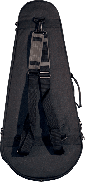 Mandolin lightweight legacy hybrid case