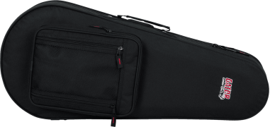 Mandolin lightweight legacy hybrid case