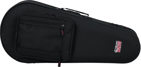 Mandolin lightweight legacy hybrid case