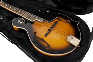 Mandolin lightweight legacy hybrid case
