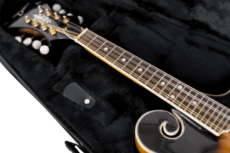 Mandolin lightweight legacy hybrid case