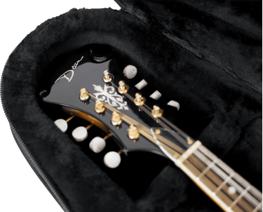 Mandolin lightweight legacy hybrid case