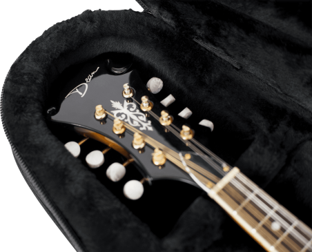 Mandolin lightweight legacy hybrid case