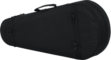 Mandolin lightweight legacy hybrid case