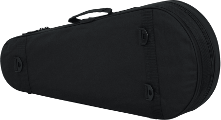 Mandolin lightweight legacy hybrid case