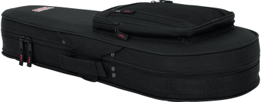 Mandolin lightweight legacy hybrid case