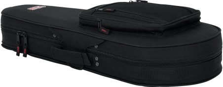 Mandolin lightweight legacy hybrid case