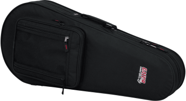 Mandolin lightweight legacy hybrid case