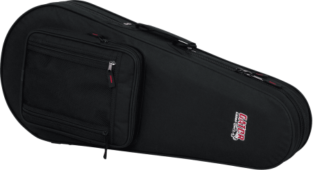Mandolin lightweight legacy hybrid case