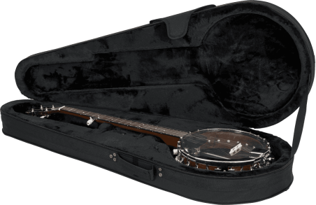 Banjo lightweight legacy hybrid case