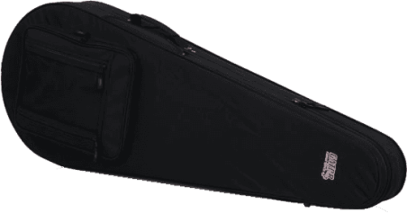 Banjo lightweight legacy hybrid case