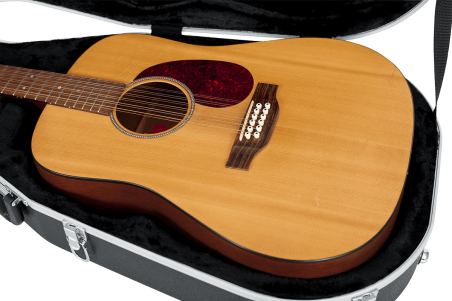 12 strings Dreadnought guitar legacy case