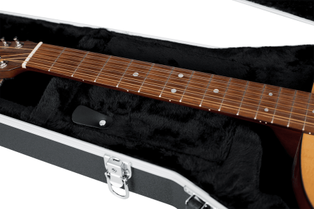 12 strings Dreadnought guitar legacy case