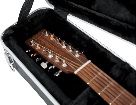 12 strings Dreadnought guitar legacy case