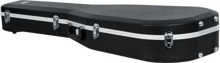 12 strings Dreadnought guitar legacy case