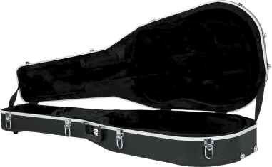 12 strings Dreadnought guitar legacy case