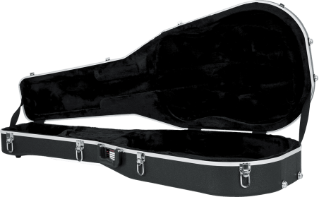 12 strings Dreadnought guitar legacy case