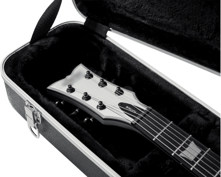 Les Paul style guitar legacy case
