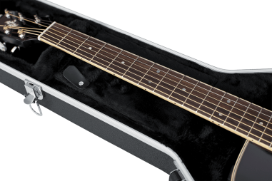 APX style guitar legacy case