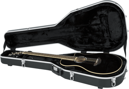 APX style guitar legacy case