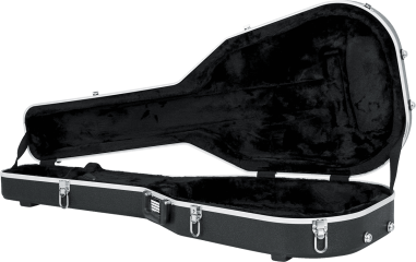 APX style guitar legacy case