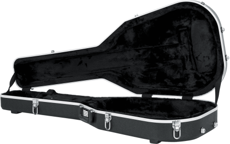 APX style guitar legacy case