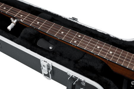 Banjo legacy case