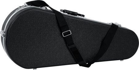 Mandolin legacy case
