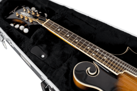 Mandolin legacy case