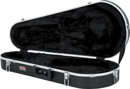 Mandolin legacy case
