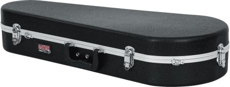 Mandolin legacy case