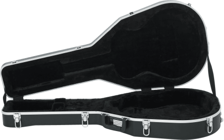 Case for Taylor GS-mini