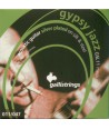 Acoustic strings Set Ball end Gypsy Jazz Silk and Steel Medium 11-47