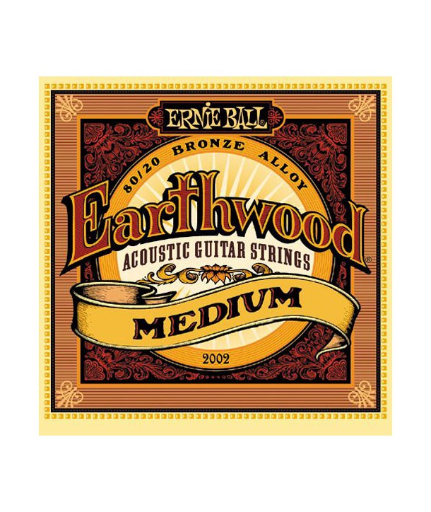 Westerngitarresaiten Earthwood Medium 13-56