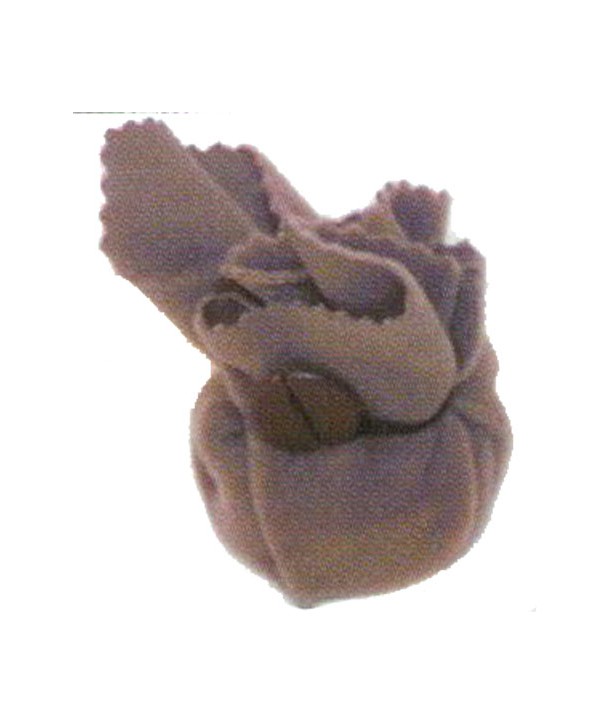 Colophane pour violon et violoncelle transparente