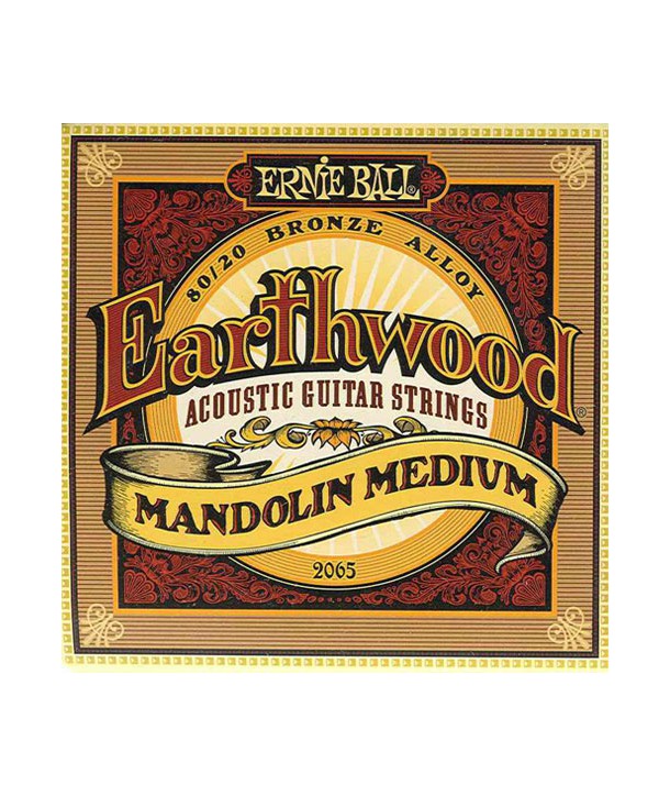 Jeu de cordes pour Mandoline Earthwood Medium