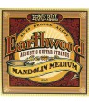 Jeu de cordes pour Mandoline Earthwood Medium