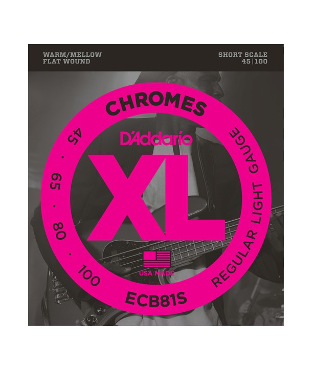 Jeu de cordes Chrome basse filé plat Short Scale 45-100