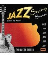 Jeu de cordes électriques Jazz Swing Filé Plat Light 11-47