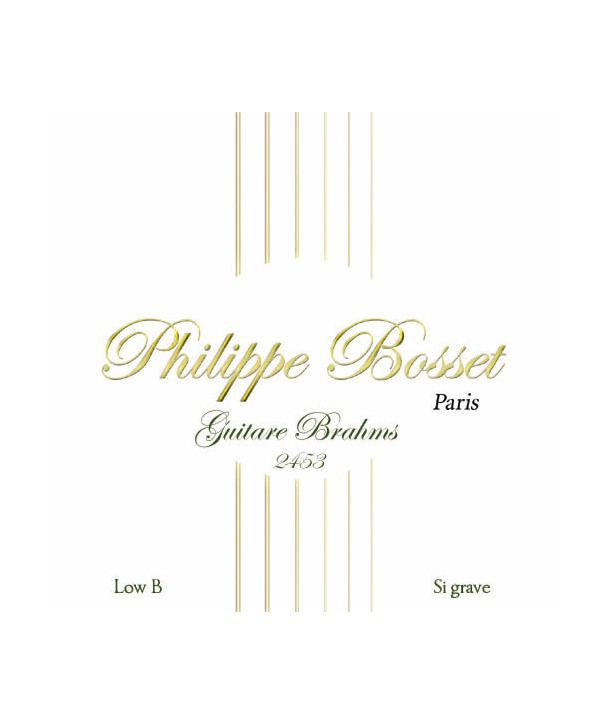 Jeu de 8 cordes pour guitare Brahms 24-53 Low B