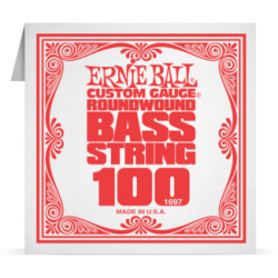 Corde à l'unité basse Ernie Ball nickel filé rond 100