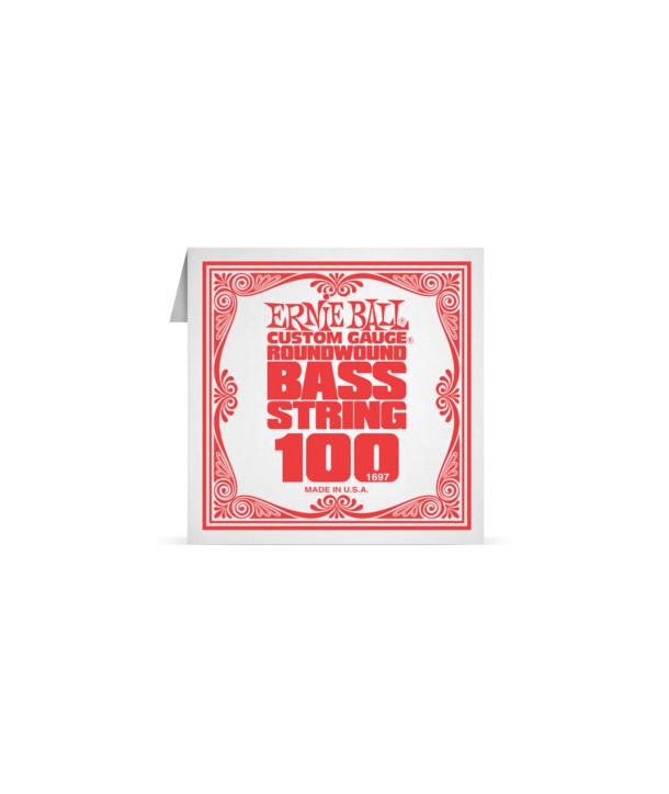 Corde à l'unité basse Ernie Ball nickel filé rond 100