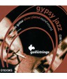 Juego de cuerdas folk Terminación de lazo Gypsy Jazz Light 10-45