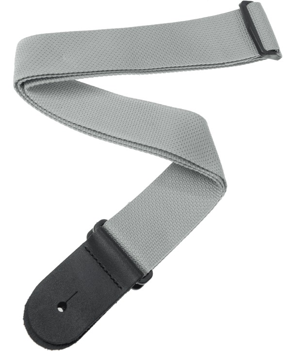 Courroie Planet Waves Polypropylene silver