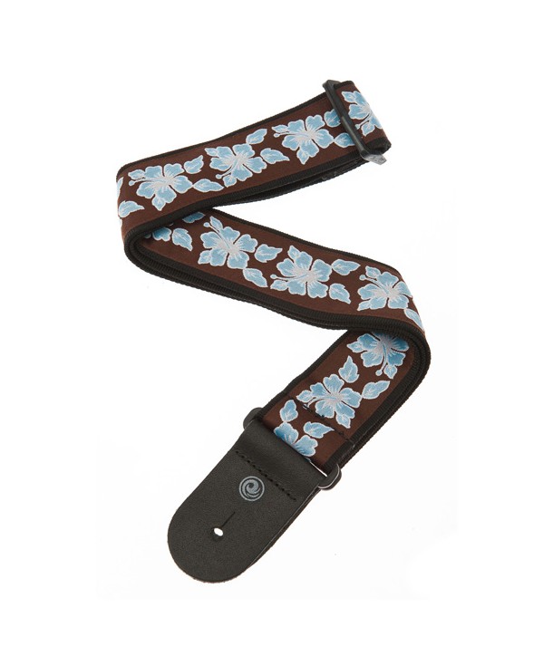 Planet Waves Rock Gurt