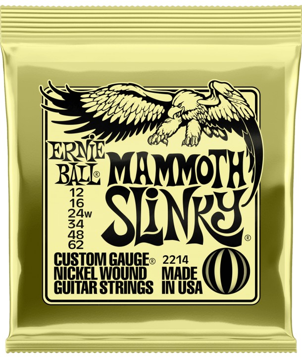 Electric strings set Regular Slinky 10-46