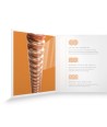 Westerngitarresaiten EXP Coated Phosphor Bronze Extra-light 10-47