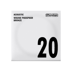 Unité 20 acoustique filée Dunlop Phosphore bronze